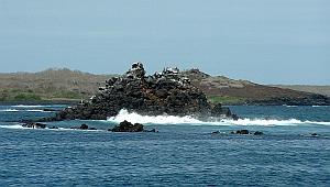 Exposed basalt at Las Palmas, Galapagos Islands, inexorably losing its battle with the sea.